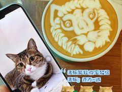 -SAFARI COFFEE