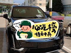 -上海外高桥汽车交易市场