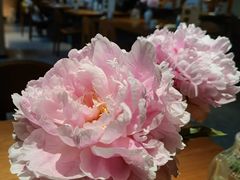 -天水蔬食料理(树德之光店)
