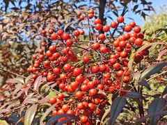 -三江森林温泉度假区