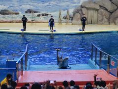 -福州罗源湾海洋世界旅游区