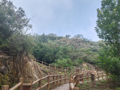 -白水寺森林公园