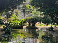 -九龙公园