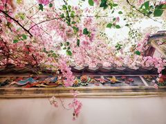-深圳国际园林花卉博览园