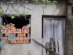 -四明山国家森林公园