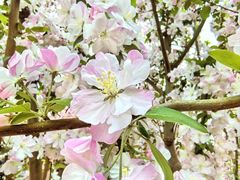 -元大都城垣遗址公园