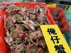 -寻味顺德·南记酒家·传统顺德菜·鱼生(广源路店)