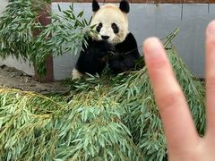 -杭州野生动物世界