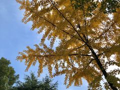 -南京双门楼宾馆(盐仓桥地铁站阅江楼店)