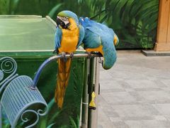 -南宫五洲植物乐园