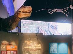 -贝林大翅鲸简餐厅(国家海洋博物馆店)