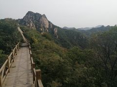-大岭沟猕猴桃谷风景区