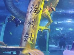 -欢乐海岸海洋奇梦馆