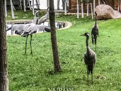 -艾溪湖湿地公园