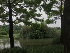 -贵阳市花溪国家城市湿地公园