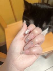 -御甲坊美甲美睫