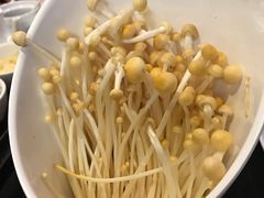 -蜀九香火锅(九眼桥店)