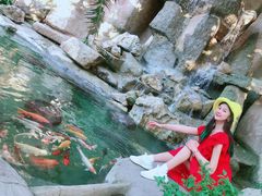 -芽庄珍珠岛游乐园