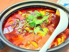 红烧带皮羊肉-贵州大厦贵州厅(樱花园西街店)