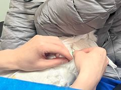 -宠福鑫动物医院(城北分院)