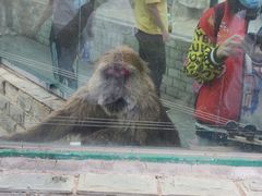 -大青山野生动物园