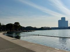 -尚贤河湿地