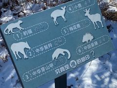 -浙西天池景区