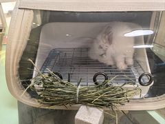 -龙猫仔乐园(惠福东路店)