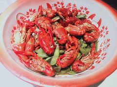 -新哥老官·畅吃123·美蛙世界(苏宁广场店)