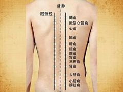 -通透堂中医·精准推拿(旗舰店)