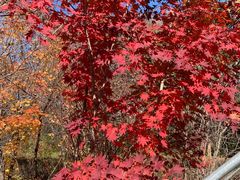 -长春市南湖公园