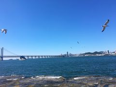 -星海湾跨海大桥