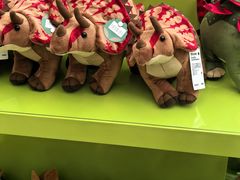 -天津自然博物馆