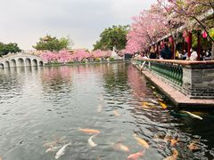 -宝墨园景区
