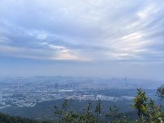 -紫金山山顶公园