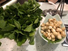 -烹然四季椰子鸡火锅(团结湖总店)