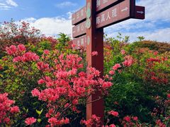 -大围山国家森林公园