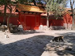 -故宫博物院(故宫)