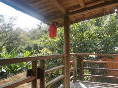 -天门沟九州驿站树上汤泉
