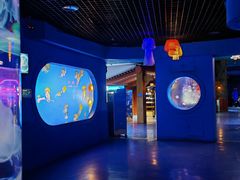 -太平洋海底世界