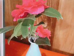 -荷风细雨·中国茶宴(碧云店)