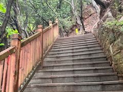 -龙泉洞(沙坪坝区)