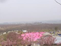 -古柏渡飞黄旅游区