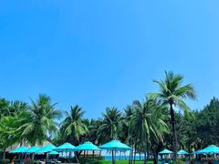 -海南清水湾莱佛士酒店