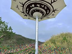 -西双版纳原始森林公园