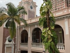 -香港大学