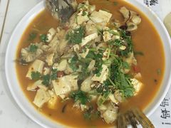 -煲来饱去冷水鱼