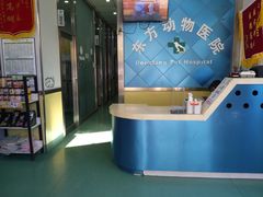-东方动物医院·宠保定点·骨科·转诊中心(春城路·昆明站分院)