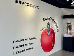 -辰熙ACX星海艺术中心