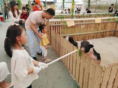 -麻涌飞鸭开心农场